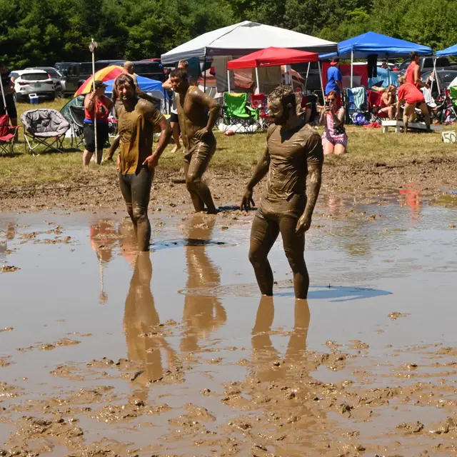 North Shore Mud Sharks photo 10